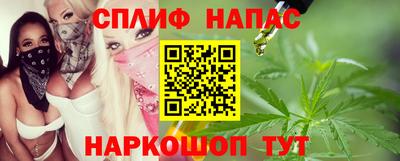 стафф Камышлов