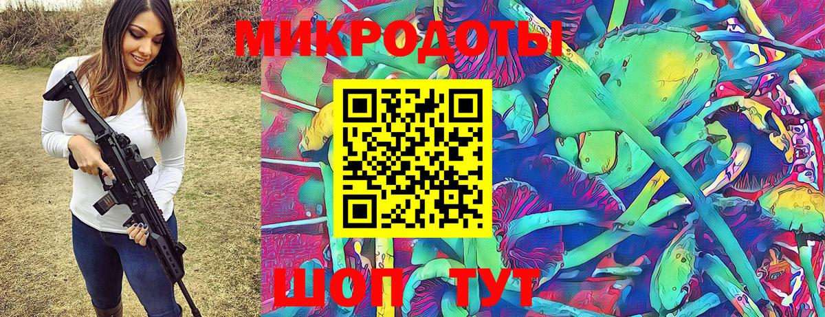LSD-25 Кузнецк