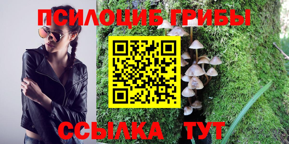 Псилоцибиновые грибы прущие грибы Кузнецк