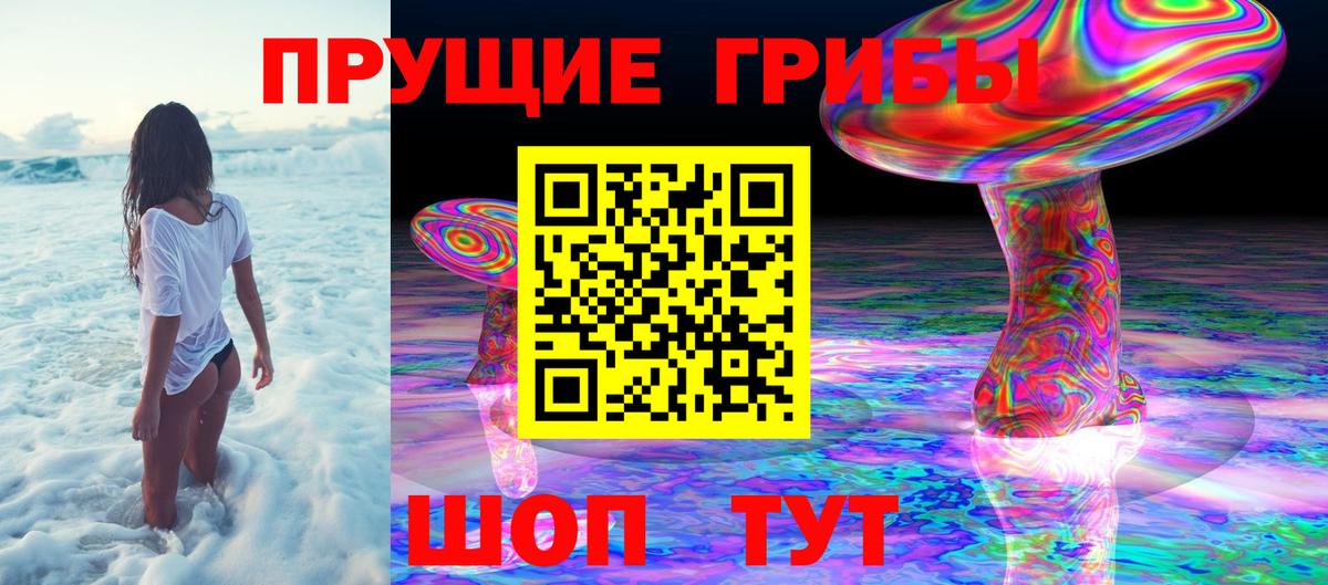 Псилоцибиновые грибы Magic Shrooms  Вход с VPN  Кузнецк 